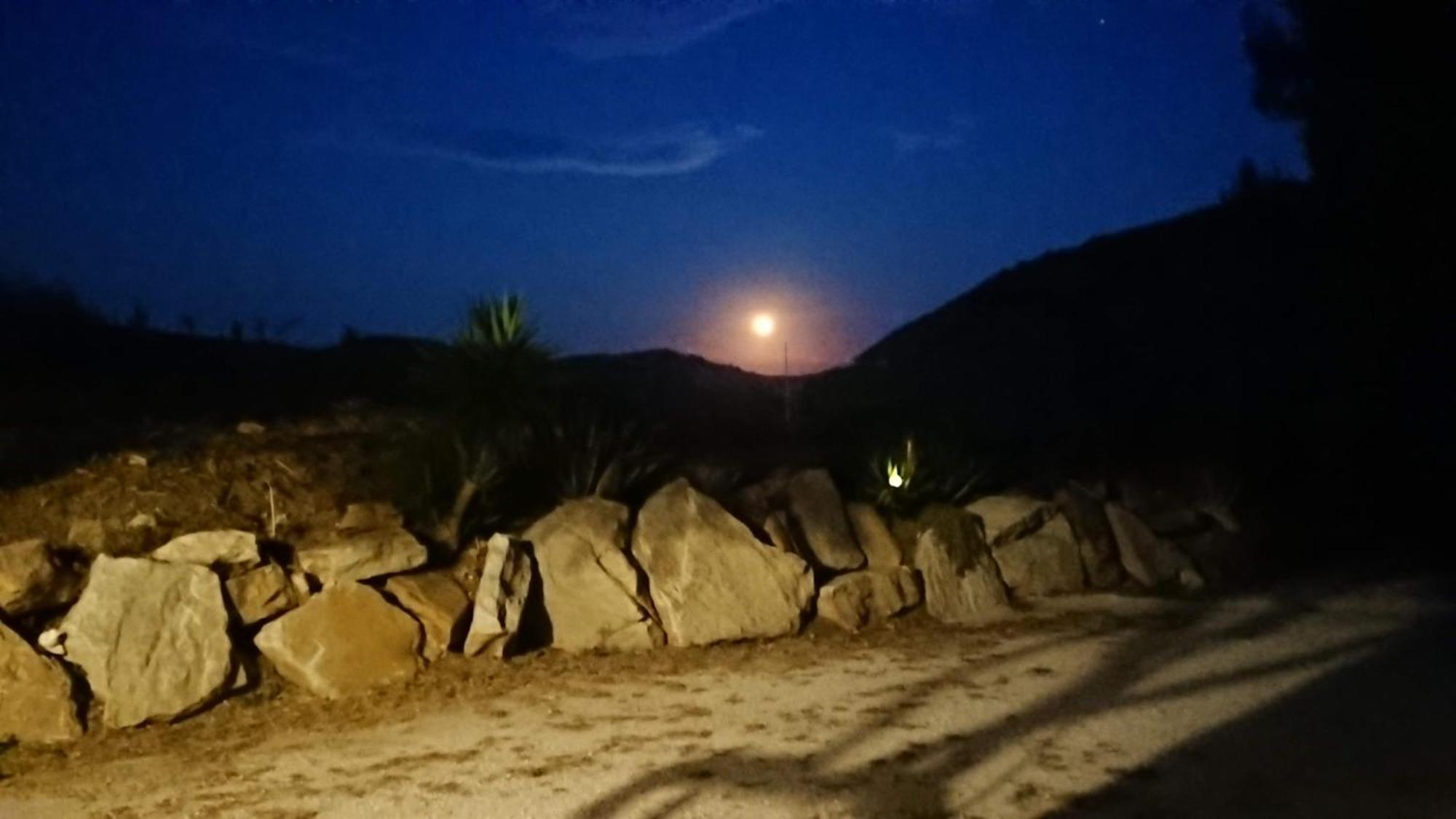 קלטפימי Helimos Bed&Breakfast Segesta Temple-Castellammare מראה חיצוני תמונה