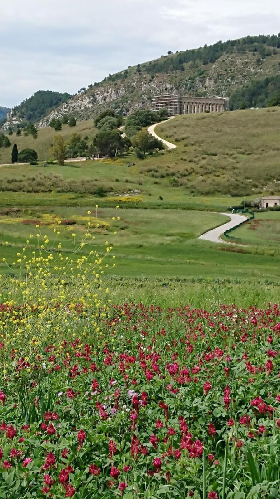 קלטפימי Helimos Bed&Breakfast Segesta Temple-Castellammare מראה חיצוני תמונה